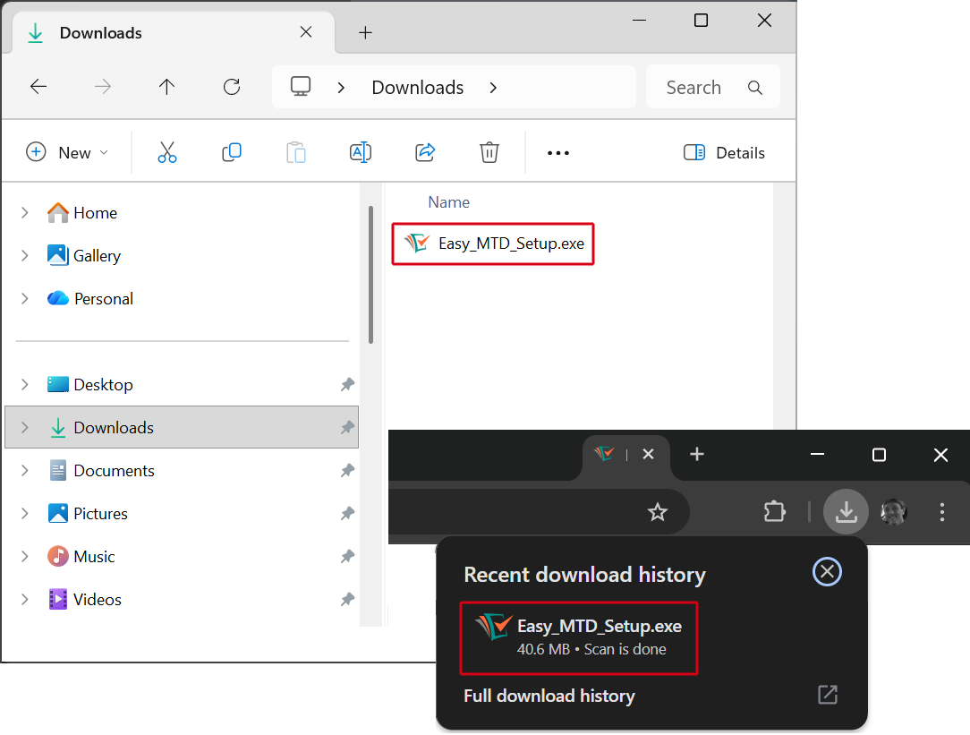 File Explorer and browser image