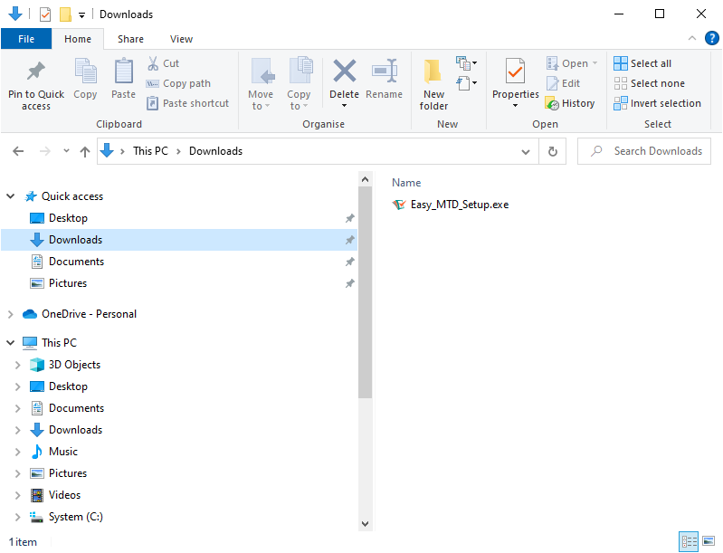 Windows File Explorer showing the Downloads folder image
